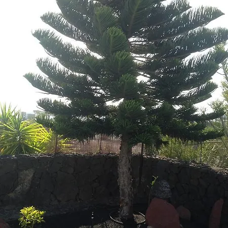 Сasa de vacaciones Coloradas 15