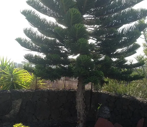 Casa vacanze Coloradas 15